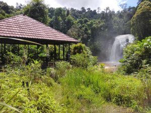 IMG20240824130614
