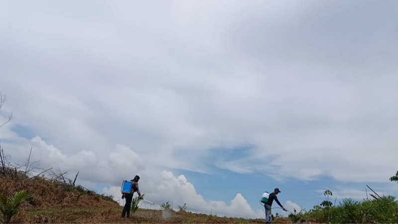 IMG-20250515-WA0160